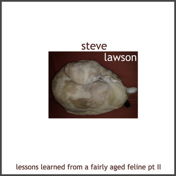 Lessons Learned From An Aged Feline, Pt II cover art
