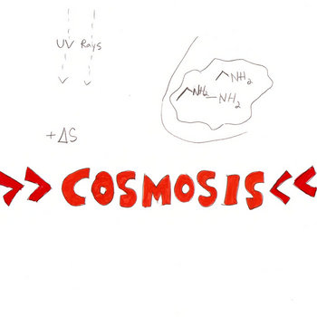 >>Cosmosis<< cover art