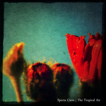 The Tropical Air cover art