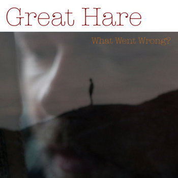 What Went Wrong? cover art