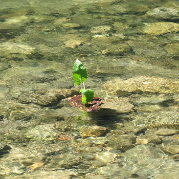 Peace Like a River cover art
