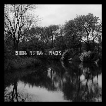 Reborn In Strange Places cover art