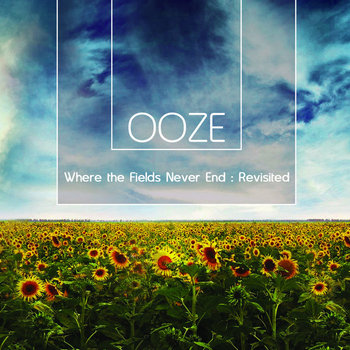 Where the Fields Never End : Revisited cover art