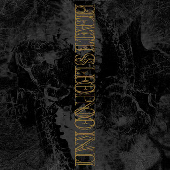 BSOK/UOS Split LP cover art