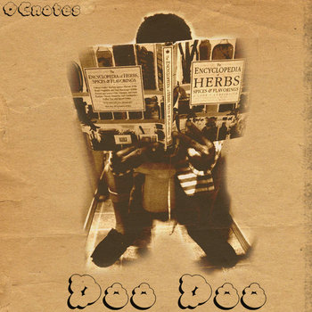 Doo Doo cover art
