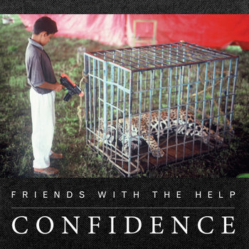 Confidence cover art