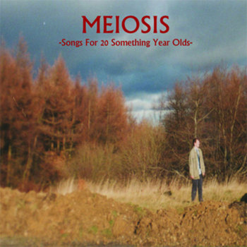 Songs For 20 Something Year Olds cover art