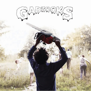 Gadzooks cover art
