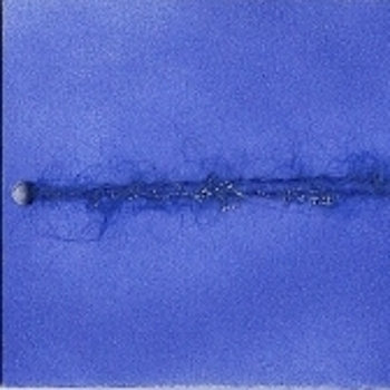 Disco Blu cover art
