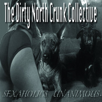 Sexaholics Unanimous cover art