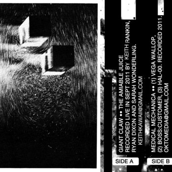 The Amiable Juice cover art