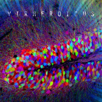 Vir Heroicus cover art
