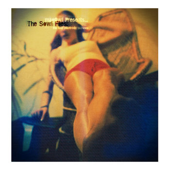 The Sowl Files: The Lost Electronic Sessions cover art