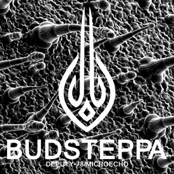 BudSteppa cover art