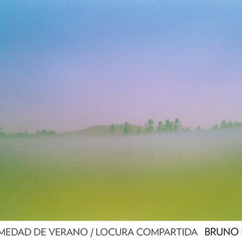 Enfermedad de Verano / Locura Compartida cover art