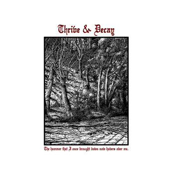 Thrive & Decay cover art
