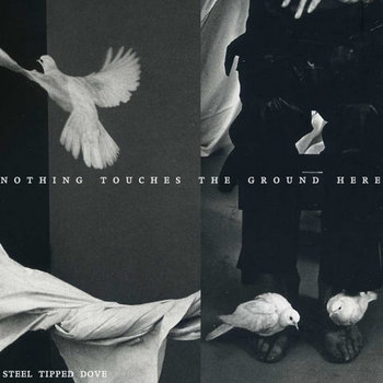 Nothing Touches the Ground Here cover art