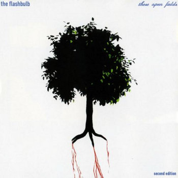 These Open Fields cover art