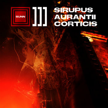 Sirupus Aurantii Corticis cover art
