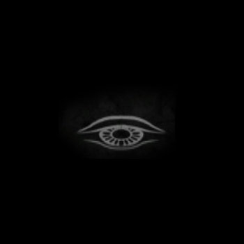 Silent Watchers - The Awakening cover art