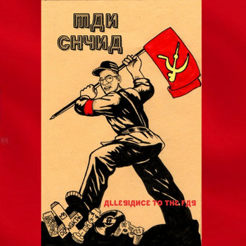 Allegiance to the Fag cover art
