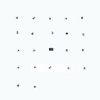 Let Bebongs Be Bebongs, Idiot cover art