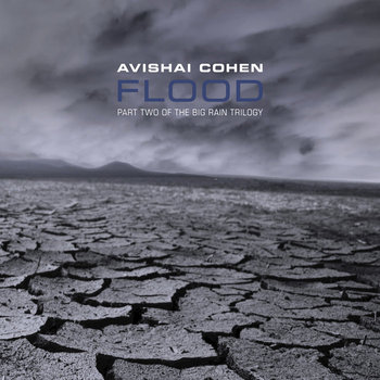 Flood cover art