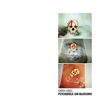 Psychedelic Gin Blossoms cover art