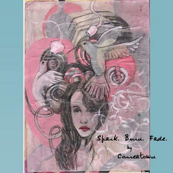 Spark. Burn. Fade. cover art
