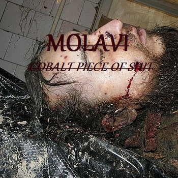 Cobalt Piece Of Shit cover art