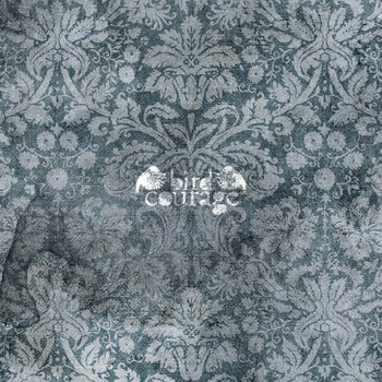 Bird Courage cover art