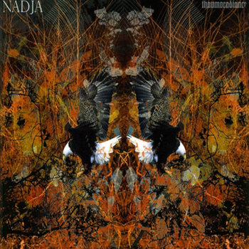 Thaumoradiance cover art