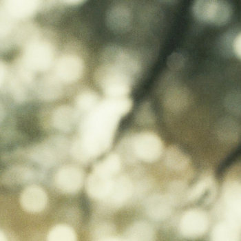 Betula cover art
