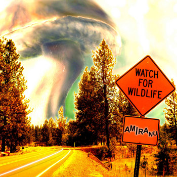Watch For Wildlife cover art