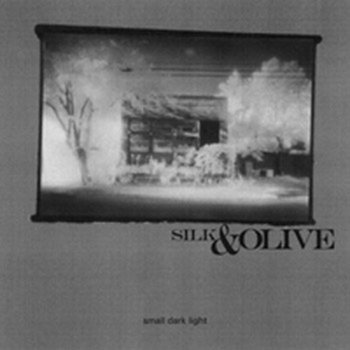 Small Dark Light cover art