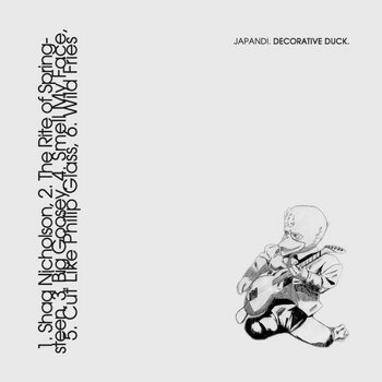 Decorative Duck cover art