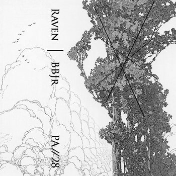 Split Cassette