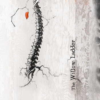 The Willow Ladder cover art