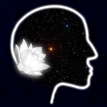The Medulla Transmissions cover art