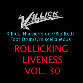Rollicking Liveness Vol. 30: Athens GA 12.04.11 cover art