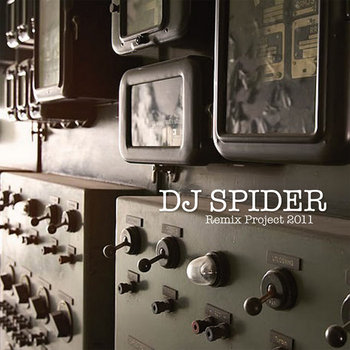 "Remix Project 2011" - DJ Spider cover art