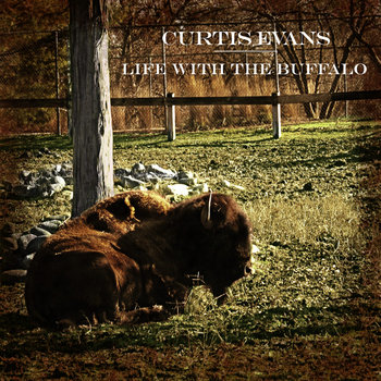 Life with the Buffalo cover art