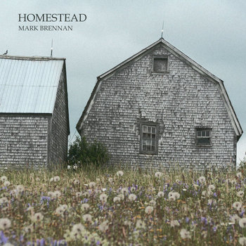 Homestead cover art