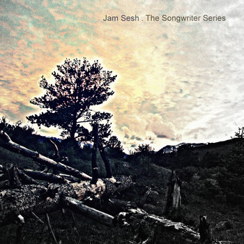 The Songwriter Series cover art