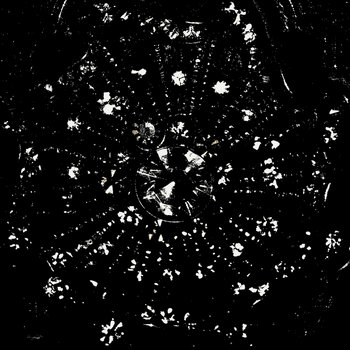 Errant cover art