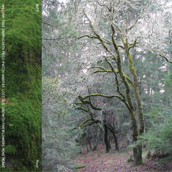 Moss cover art