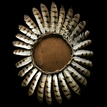 Avifauna cover art