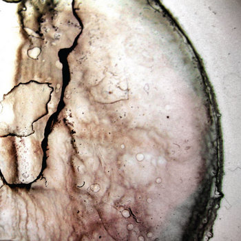 excerpt from extract (redux) cover art