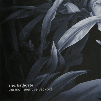 The Indifferent Velvet Void cover art