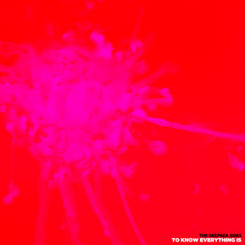 To Know Everything Is cover art